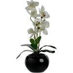 orquídea com vaso decorativo concepts life branco 449-3710011