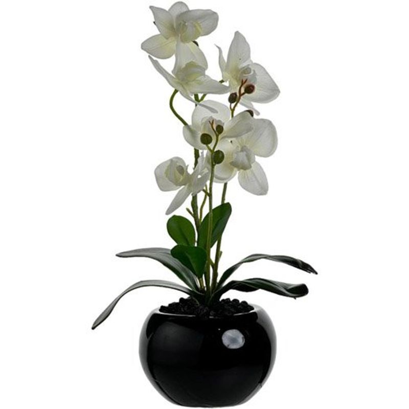 orquídea com vaso decorativo concepts life branco 449-3710011