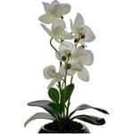 orquídea com vaso decorativo concepts life branco 449-3710011