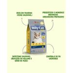 ração gato adulto billy cat select peixe 15kg (mp)