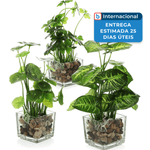 plantas conjunto de 3 peças planta artificial mygift transparente a-mbi