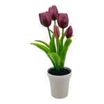 tulipa com vaso decorativo concepts life lilás 456-55434