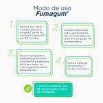 fumagum nicotina 2mg 36 gomas mastigáveis sabor menta fqm