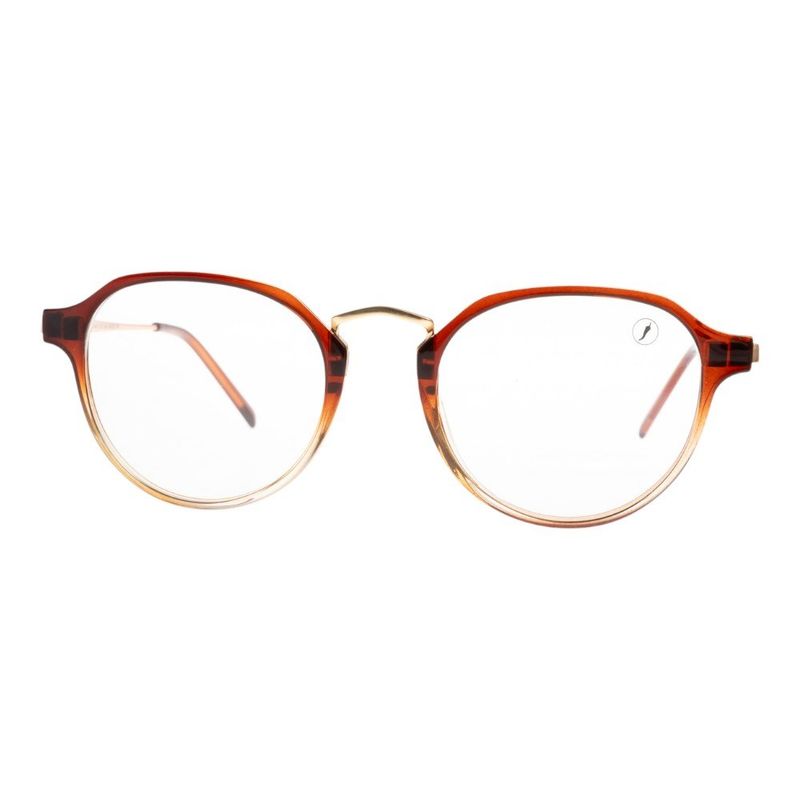 armação para óculos de grau feminino chilli beans linha vista special marrom (mp)