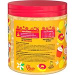 gelatina salon line xêrosa baunilha doce 500g