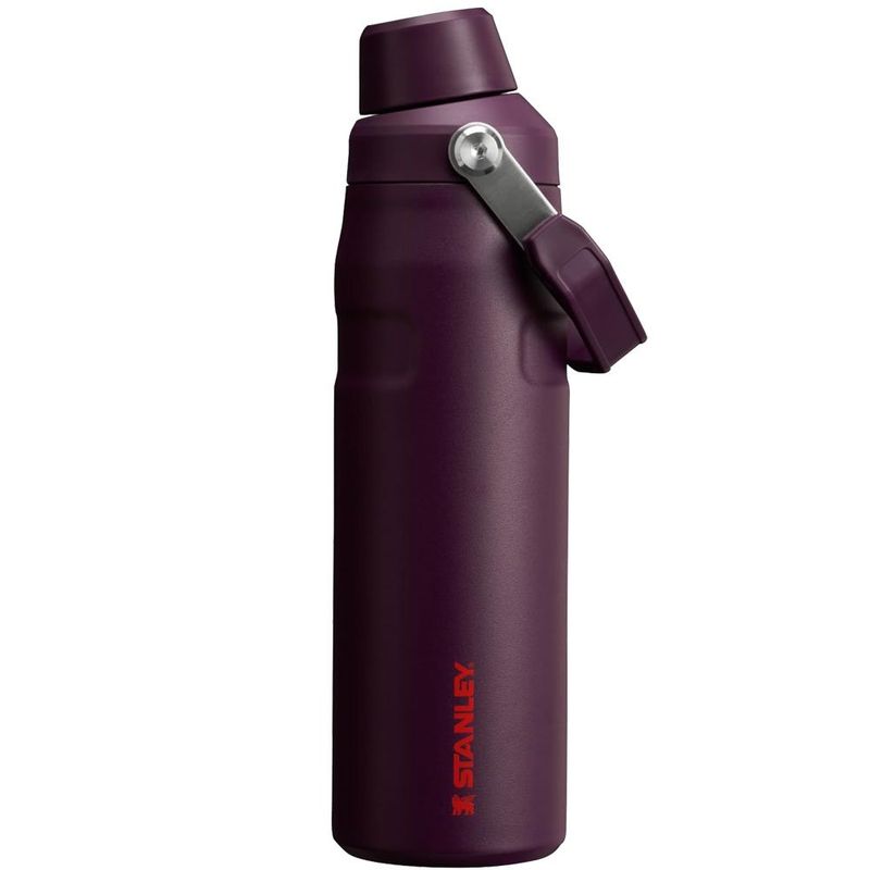garrafa térmica stanley 710ml ameixa a-bi