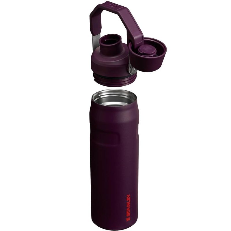 garrafa térmica stanley 710ml ameixa a-bi