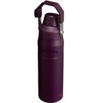 garrafa térmica stanley 710ml ameixa a-bi