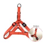 coleira peitoral para cães bravo mascote marrom 35-50cm (mp)