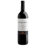 vinho nieto senetiner benjamin blend tinto 2022 (mp)