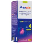 magnazia suspensão oral 240ml