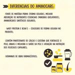 suplemento nutricional aminocare labocare para cães e gatos 100g (mp)