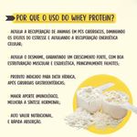 suplemento nutricional aminocare labocare para cães e gatos 100g (mp)