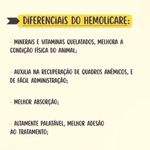 suplemento alimentar hemoli care multivitamínicos labocare para cães e gatos 60ml (mp)