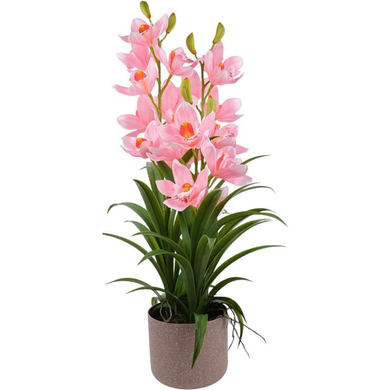orquídea concepts 592-510022
