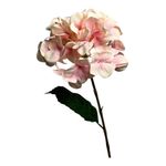 hortênsia decorativa concepts 456-513254
