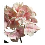 hortênsia decorativa concepts 456-513254