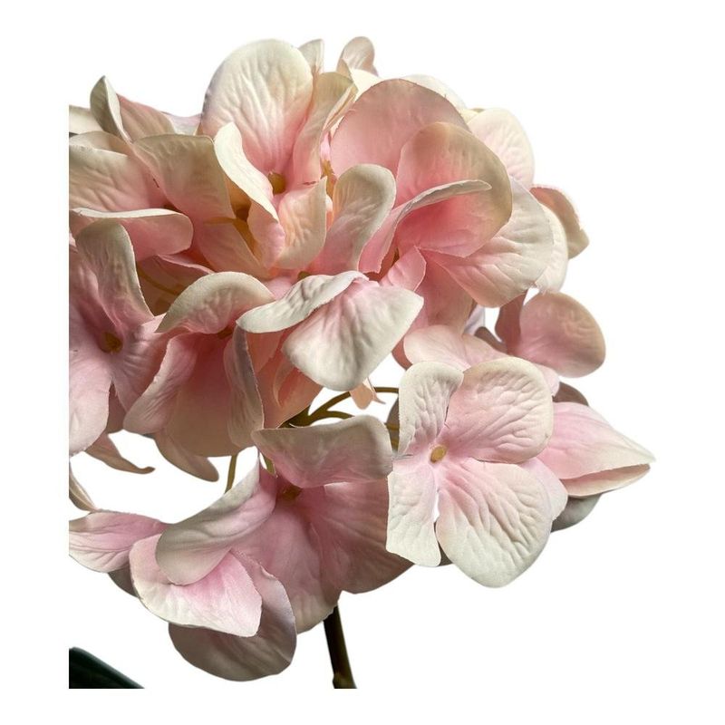 hortênsia decorativa concepts 456-513254