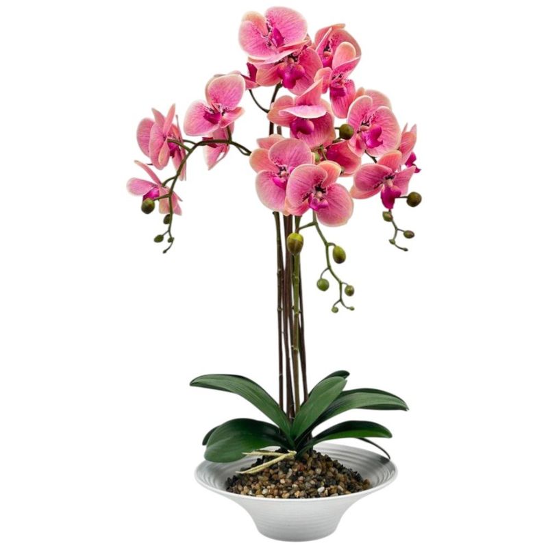 orquídea decorativa concepts life 456-55418
