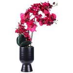 orquídea decorativa concepts life 592-510029