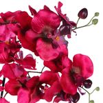 orquídea decorativa concepts life 592-510029