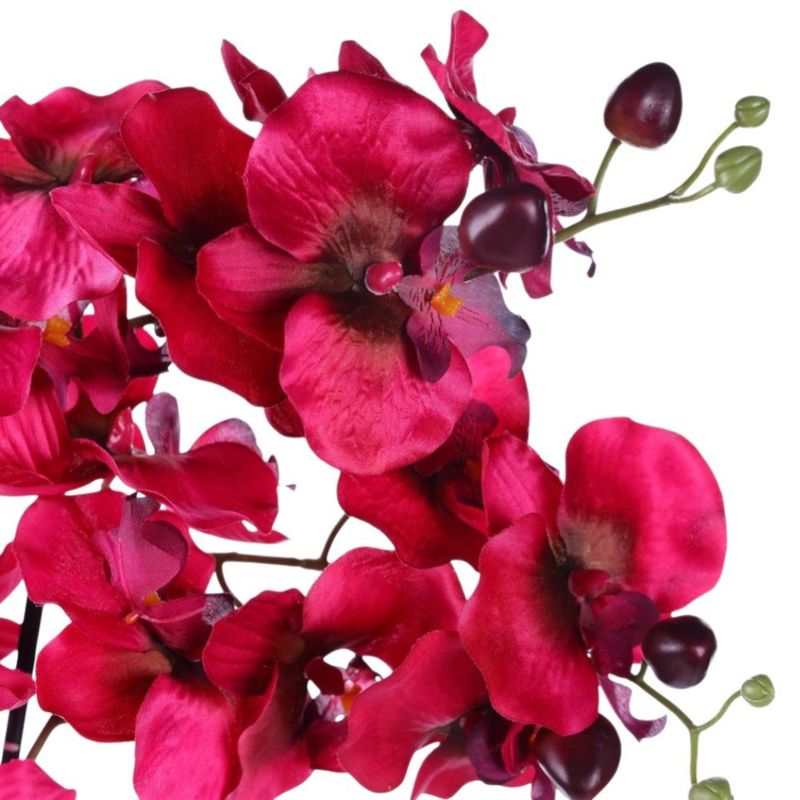 orquídea decorativa concepts life 592-510029