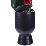 orquídea decorativa concepts life 592-510029