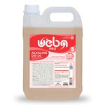desengordurante uêba alkaline dg-20 5l (mp)
