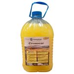 detergente automotivo uêba cremocar dt-40 5l (mp)