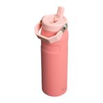 garrafa térmica stanley aerolight flip straw terracota 710ml (mp)