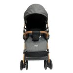 carrinho de bebê avanti viena até 15kg cinza dourado pppadcbe038 (mp)
