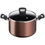 caçarola tefal day by day bronze 22cm