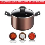caçarola tefal day by day bronze 22cm
