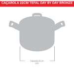 caçarola tefal day by day bronze 22cm