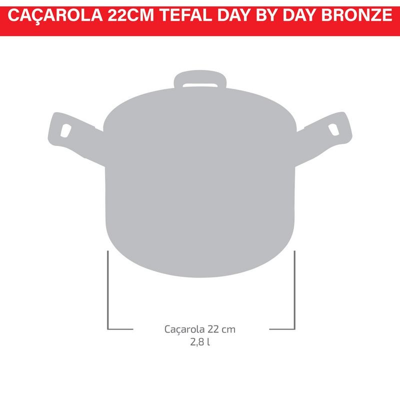 caçarola tefal day by day bronze 22cm