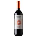 vinho espiritu de chile carnenére 750ml
