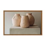 quadro vasos tm 83x53cm madeira e vidro (mp)