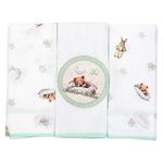 kit pano de boca minasrey 3 peças urso verde (mp)
