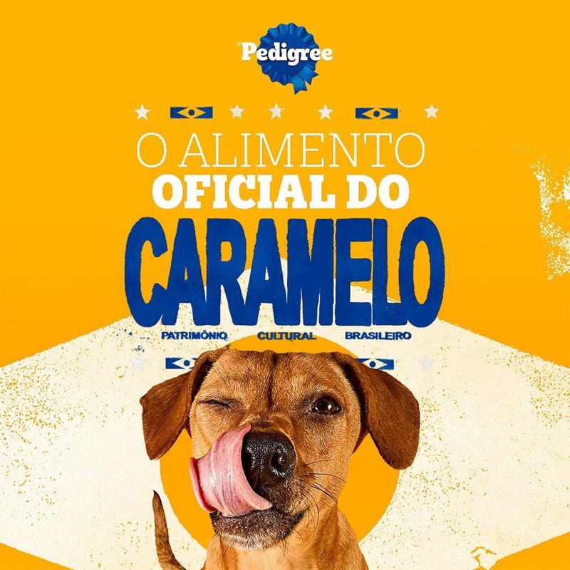 ração para cães adultos pedigree raças pequenas peru 900g (mp)