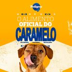 ração para cães adultos pedigree raças pequenas peru 2,7kg (mp)