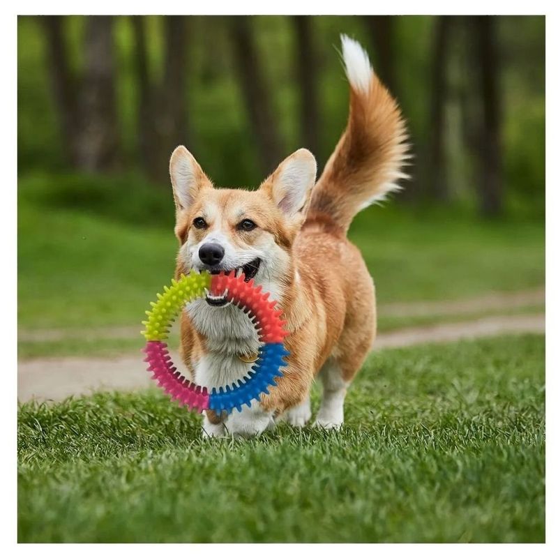 brinquedo para cães bravo mascotes argola spike (mp)