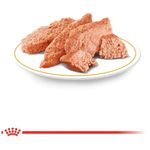 ração úmida para cães lata veterinary diet hypoallergenic 400g (mp)