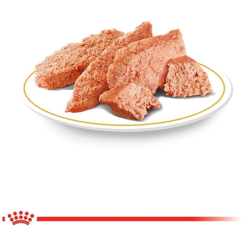 ração úmida para cães lata veterinary diet hypoallergenic 400g (mp)