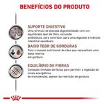 ração para cães adultos royal canin gastrointestinal 2kg (mp)