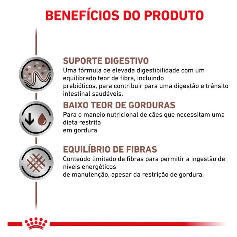 ração para cães adultos royal canin gastrointestinal 2kg (mp)
