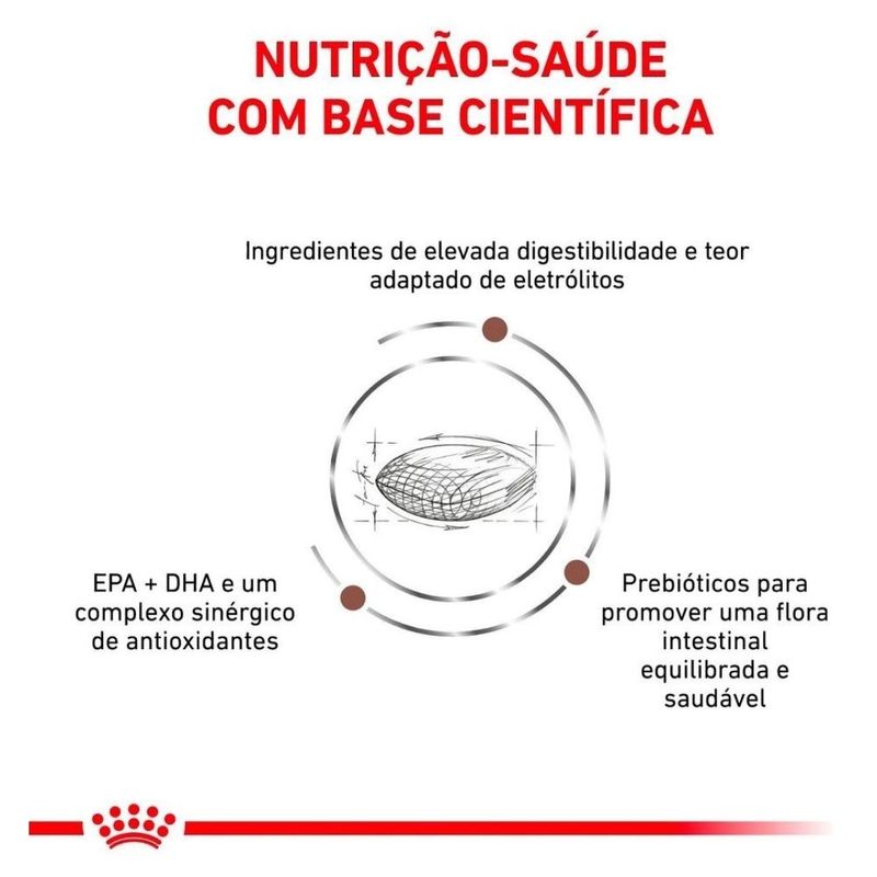 ração para cães adultos royal canin gastrointestinal 2kg (mp)