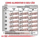 ração para cães adultos royal canin gastrointestinal 2kg (mp)