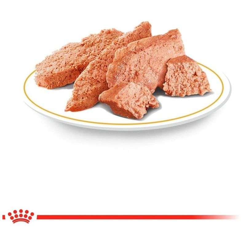 ração úmida para cães royal canin urinary small dog 410g (mp)