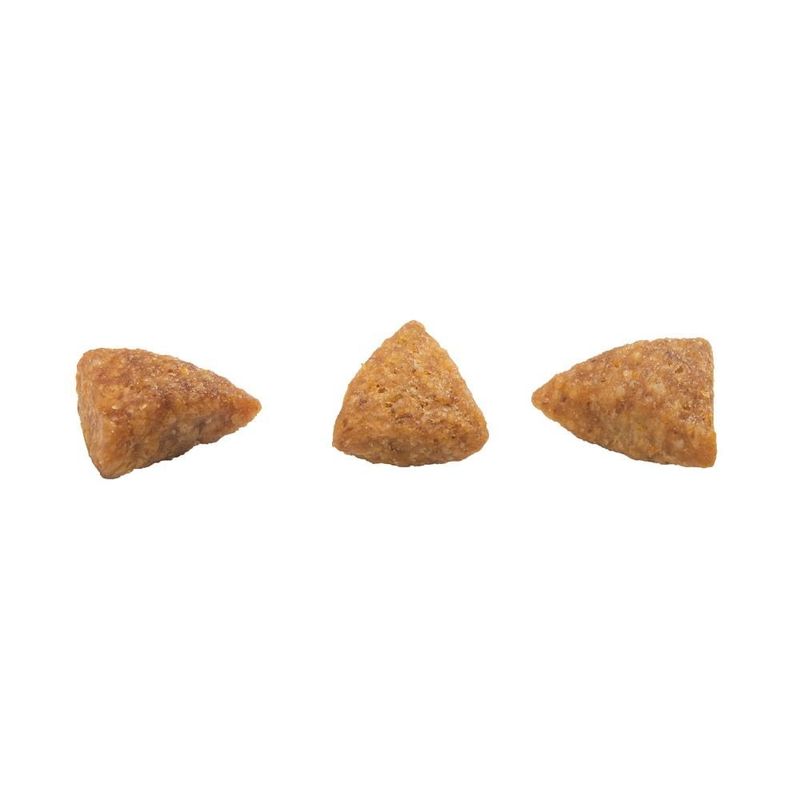 ração para gatos castrados granplus menu 10,1kg frango e arroz (mp)