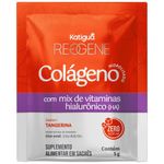 colágeno verisol + ácido hialurônico + mix de vitaminas sabor tangerina 30 sachês reggene katiguá